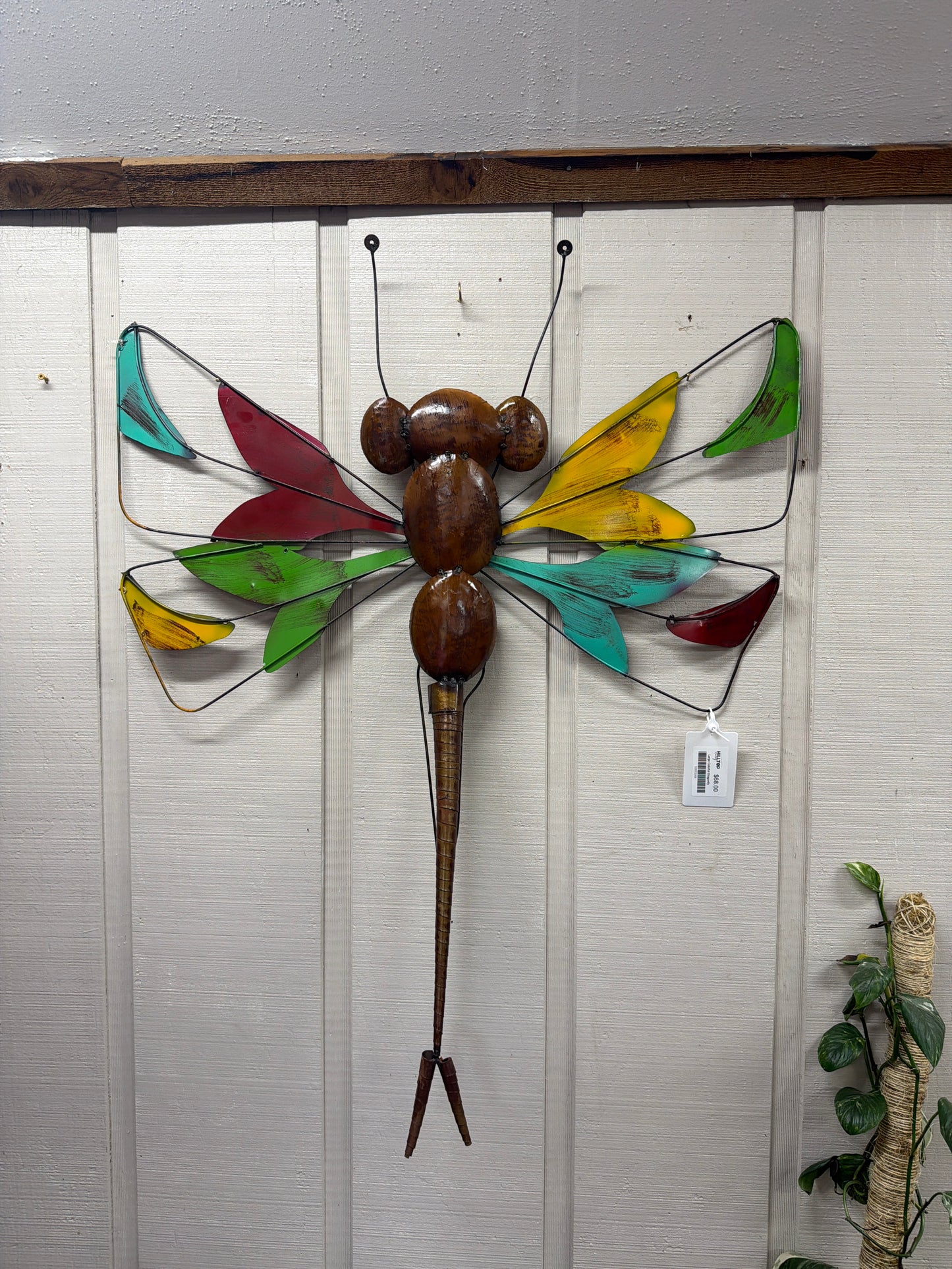 Colorful Dragonfly