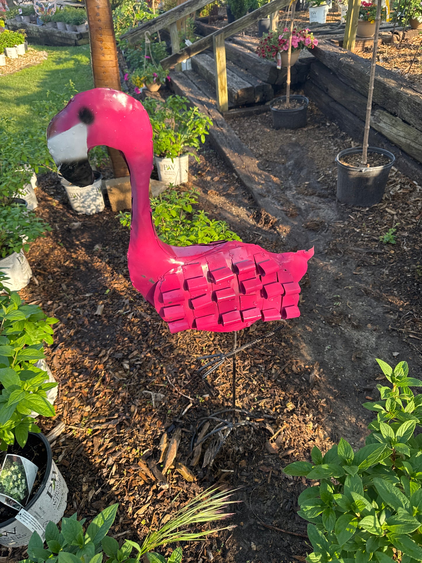 Curly Flamingo