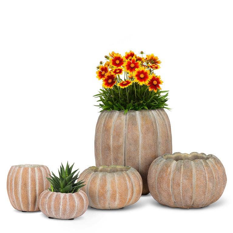 Mini Low Pumpkin Planter-4"W