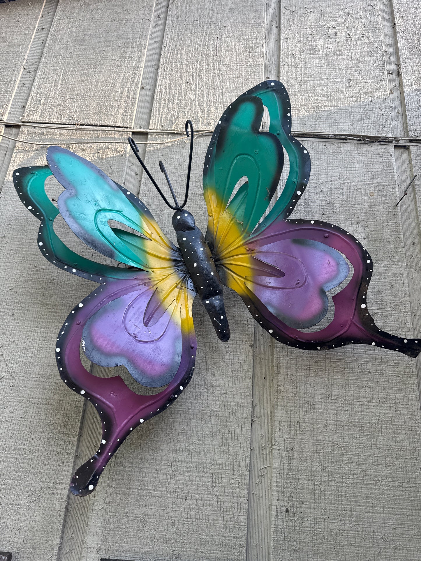 Teal & Black Butterfly