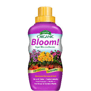 Espoma Bloom! 1-3-1 16OZ