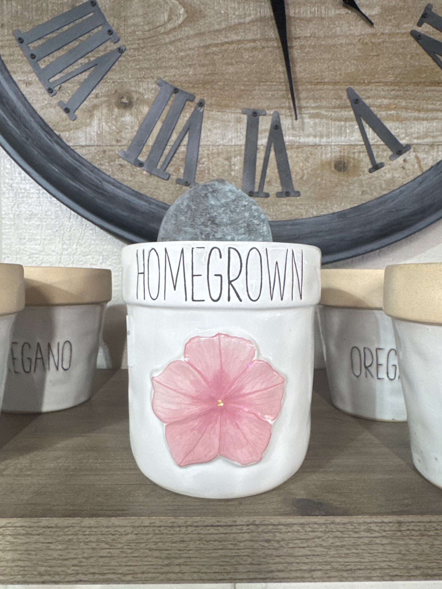 Indoor Flower Pot w/ Spade