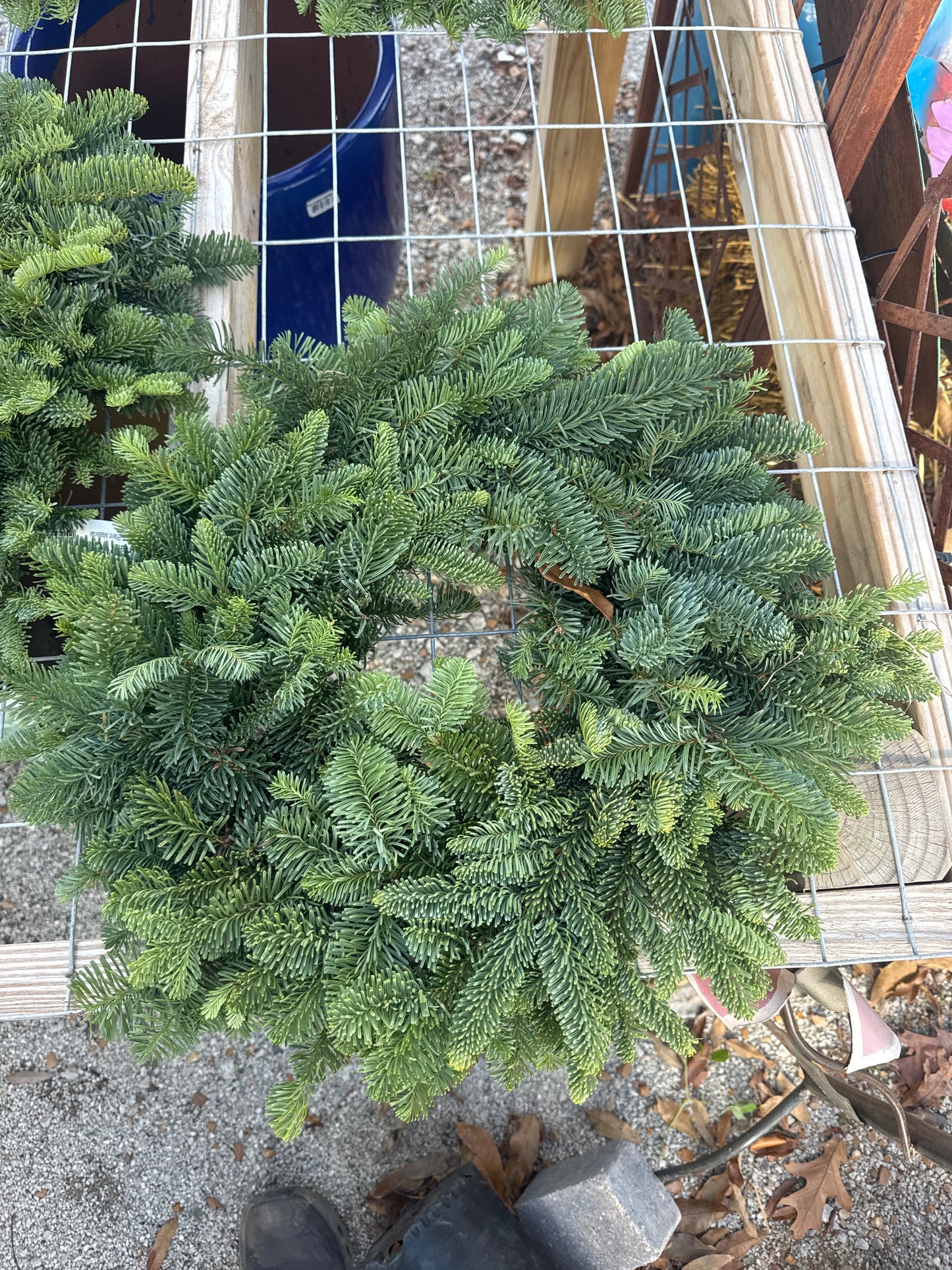 20" Wreath