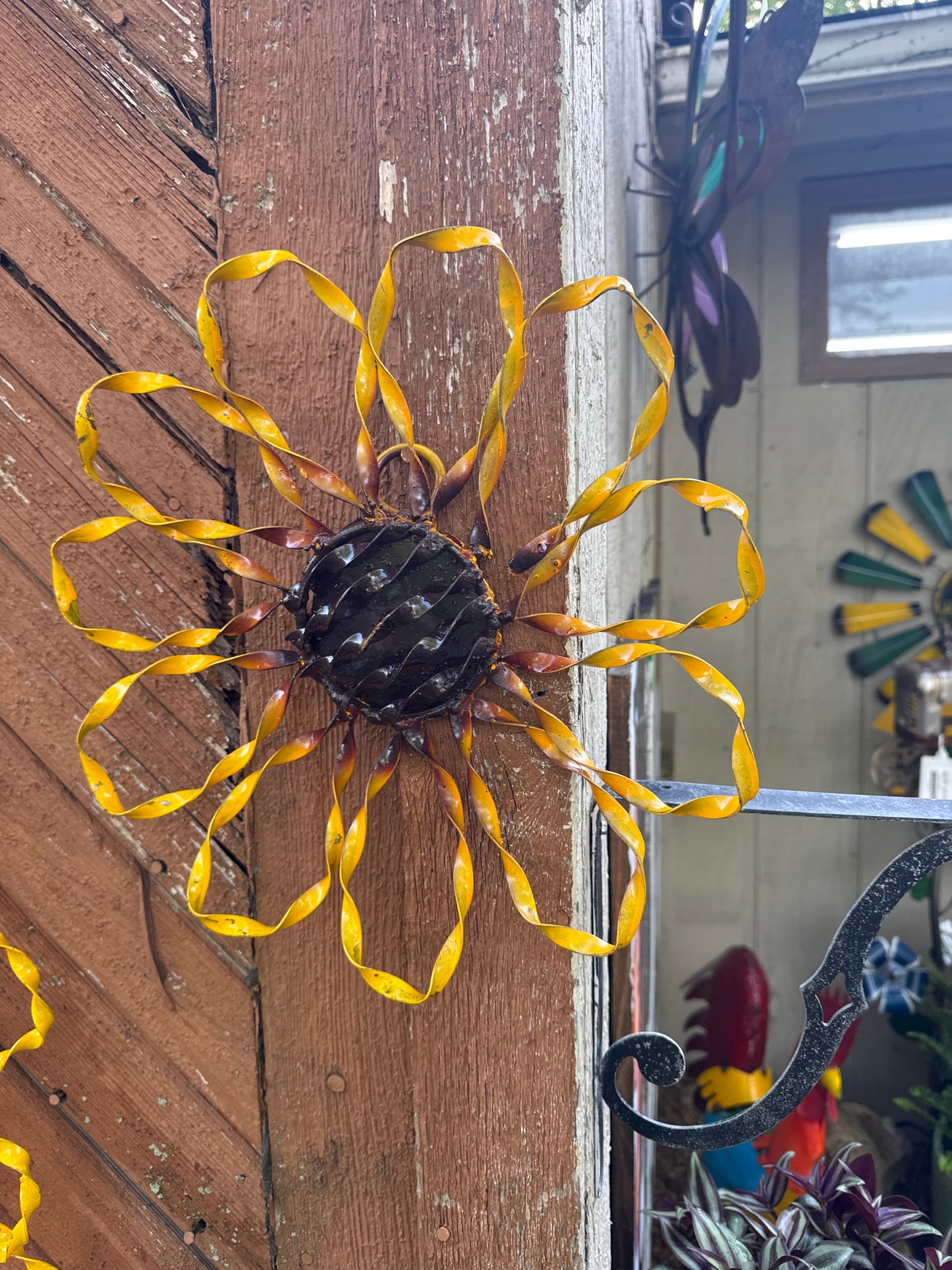 Twisted Sunflower