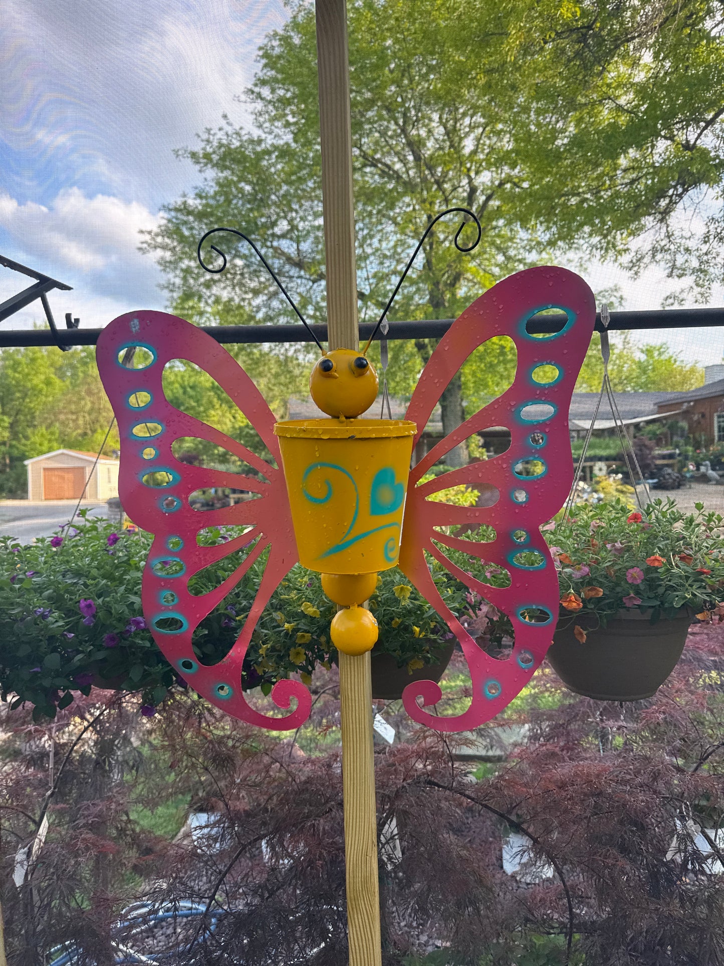 Bucket Butterfly