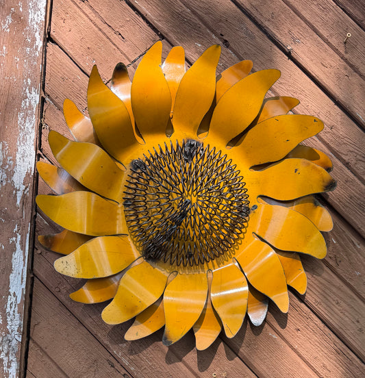 Sunflower W/ Curly Middle