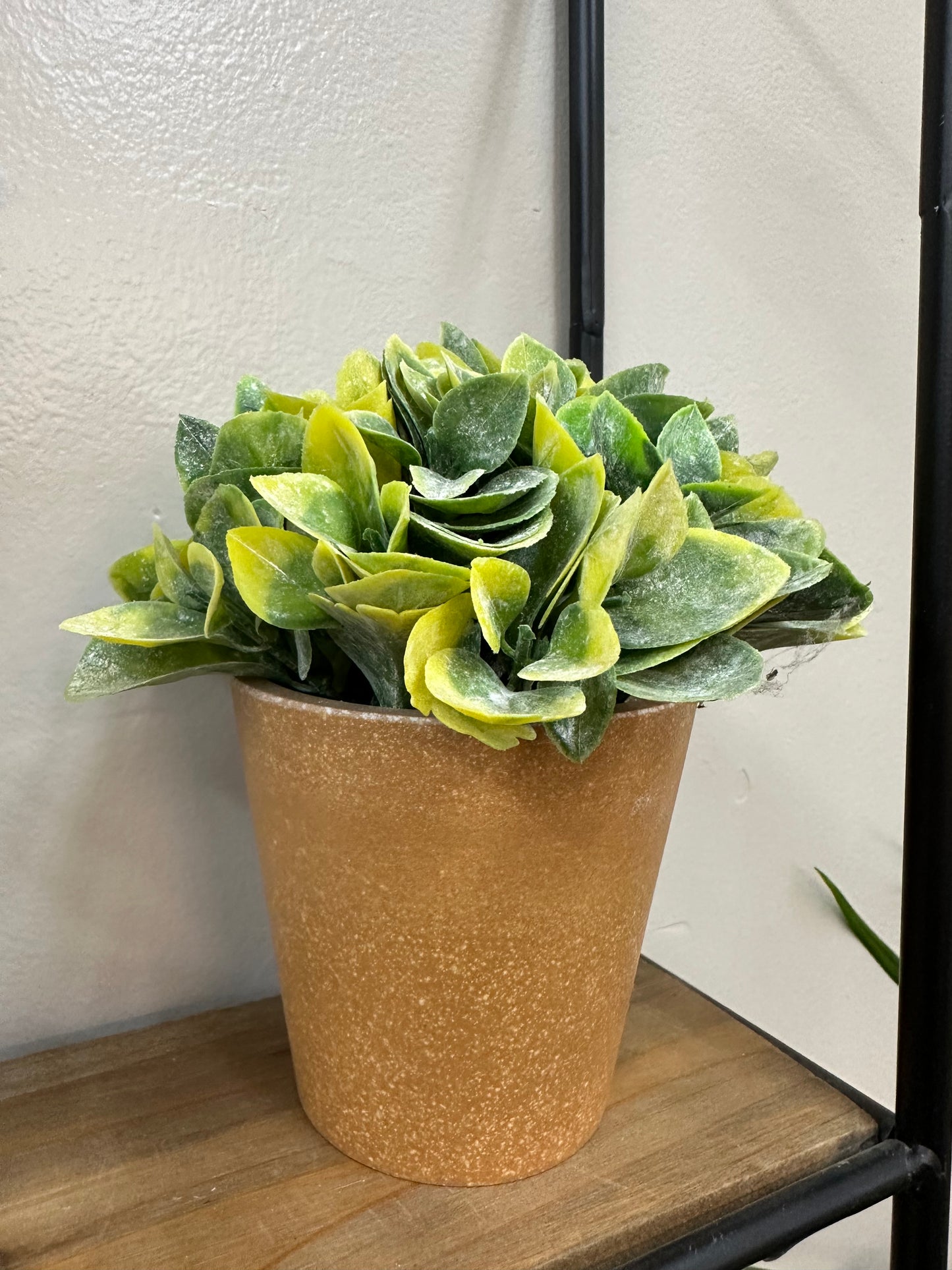 Faux Green Plant in Plastic Pot