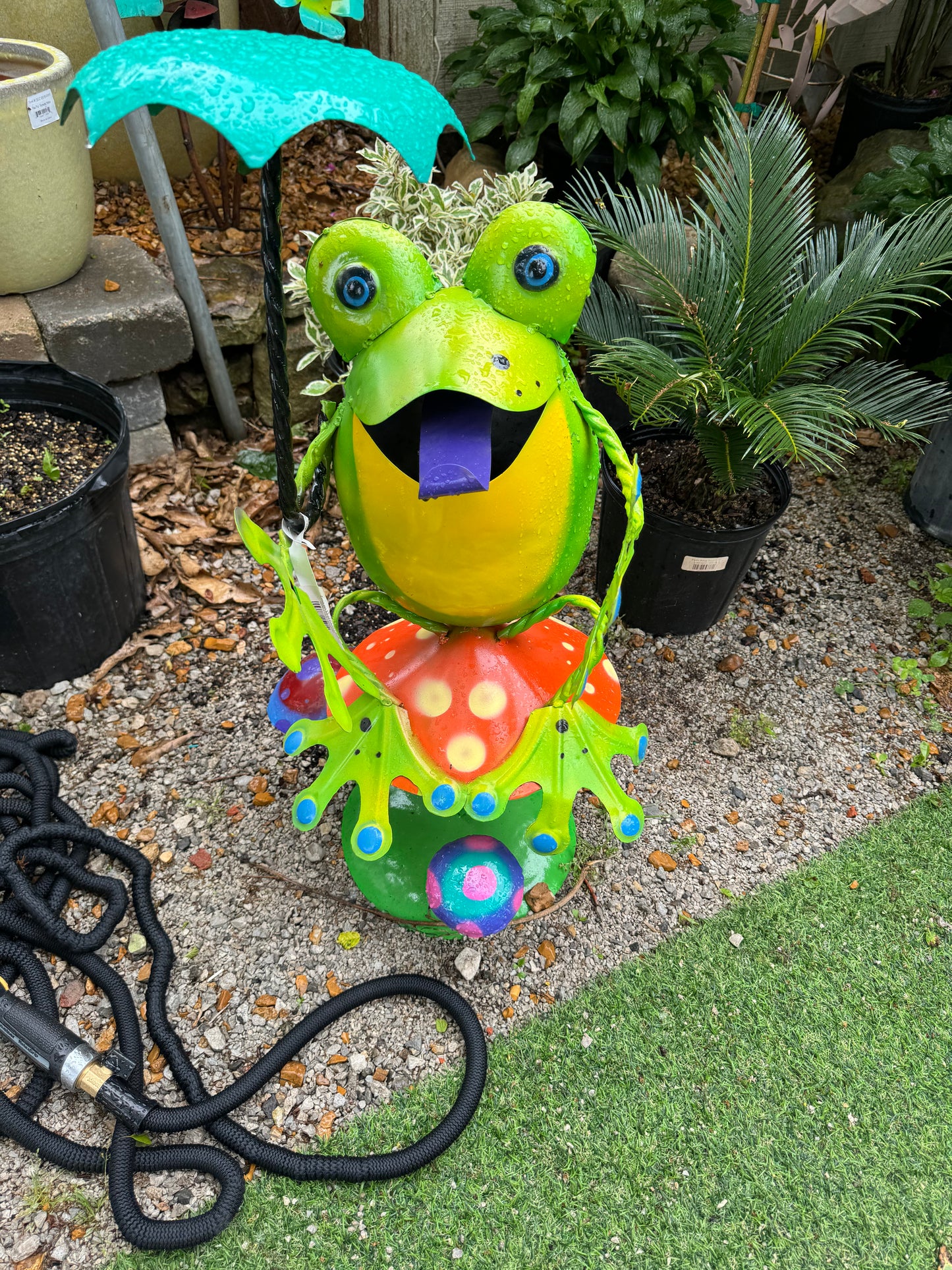 Frog on Mushroom Large