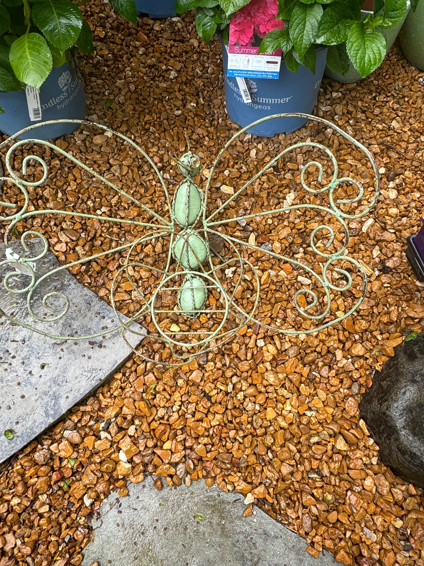 Butterfly Planter- Rocks