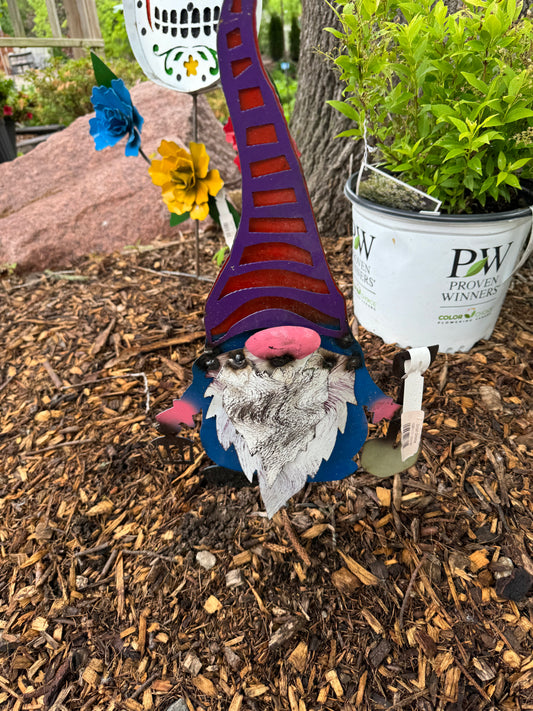 Small Gnome