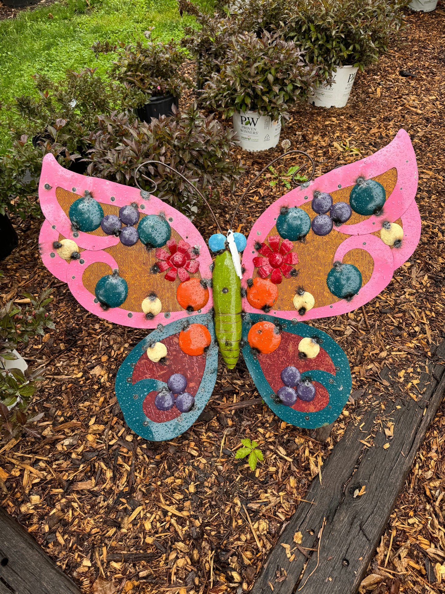 Butterfly Large Pink Mesh