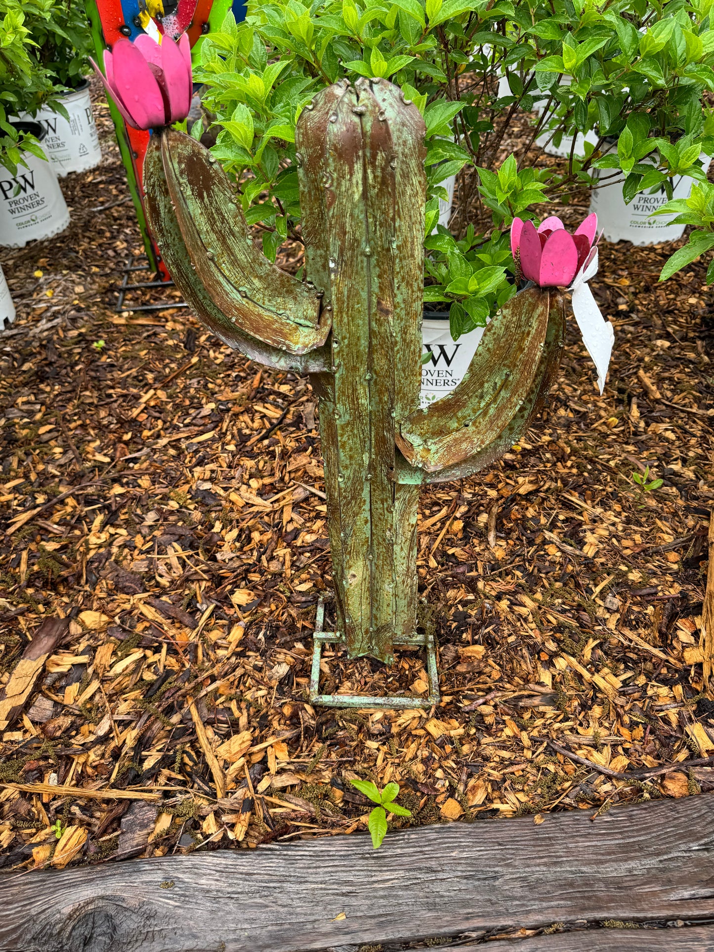 Green Cactus Arms Extra Small