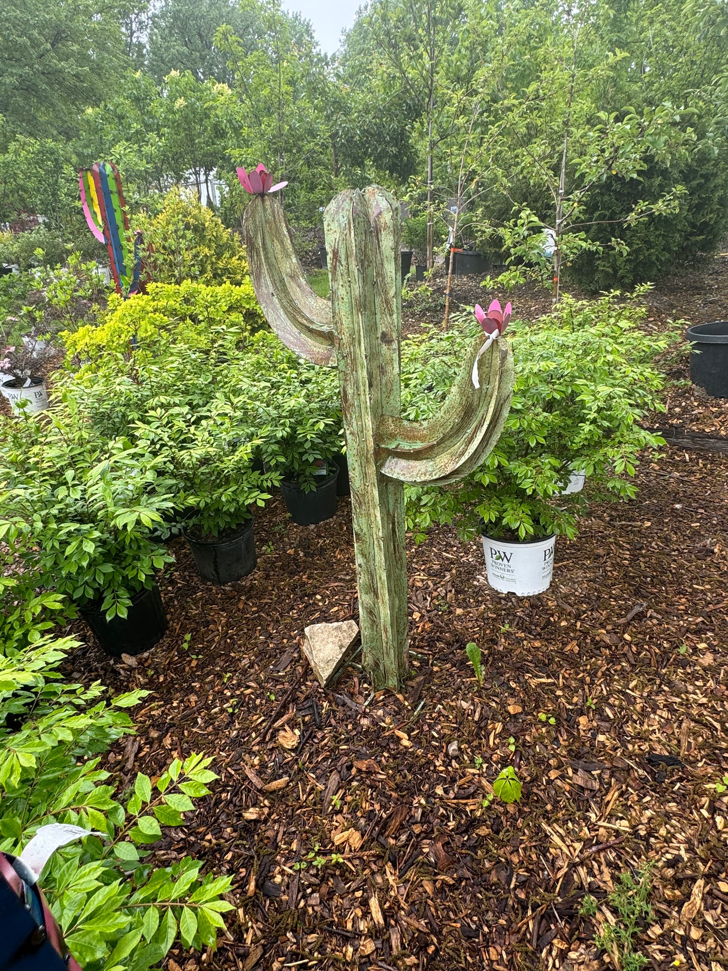 Green Cactus w/ Arms Medium