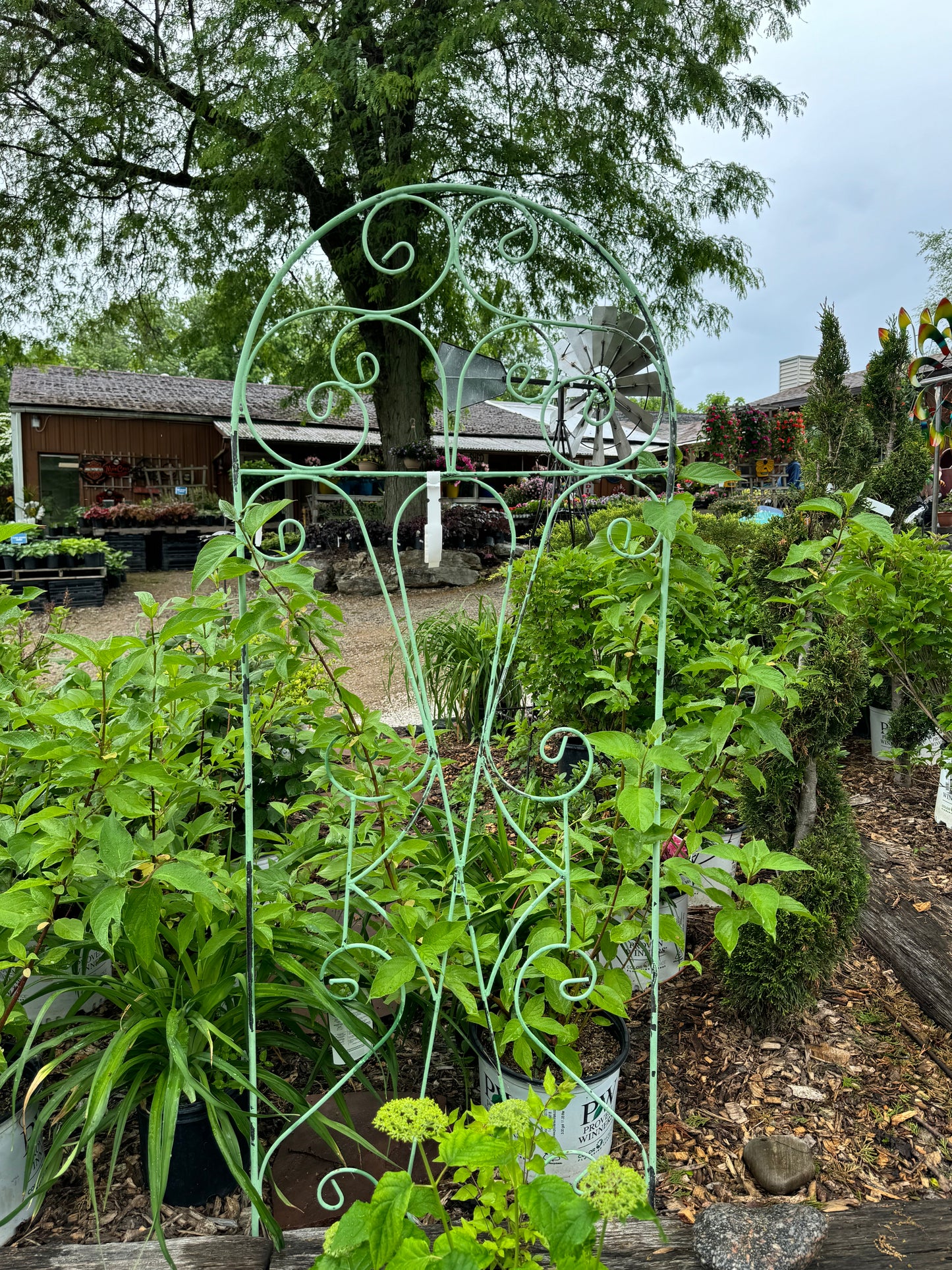Trellis