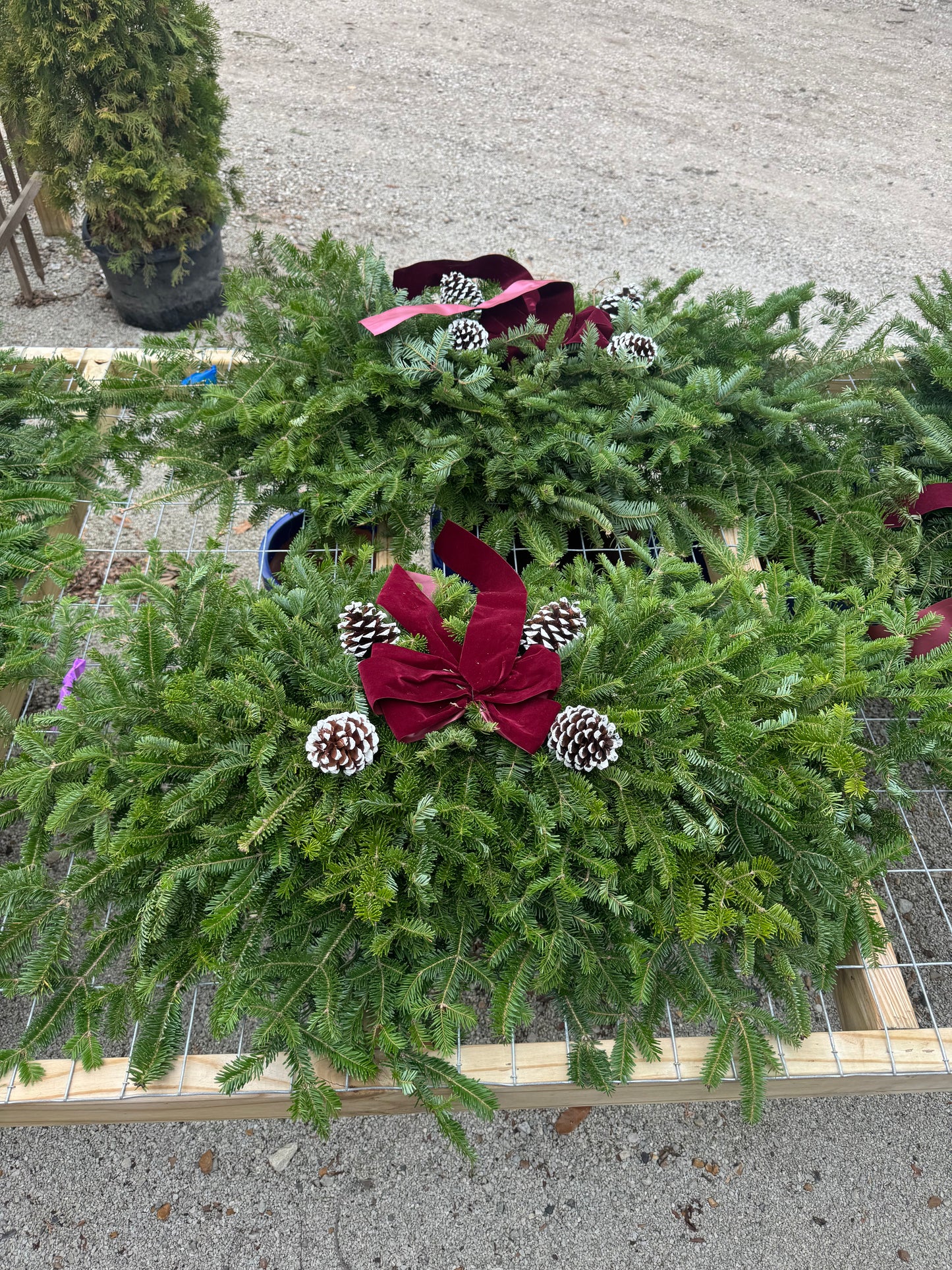 Grave Blanket