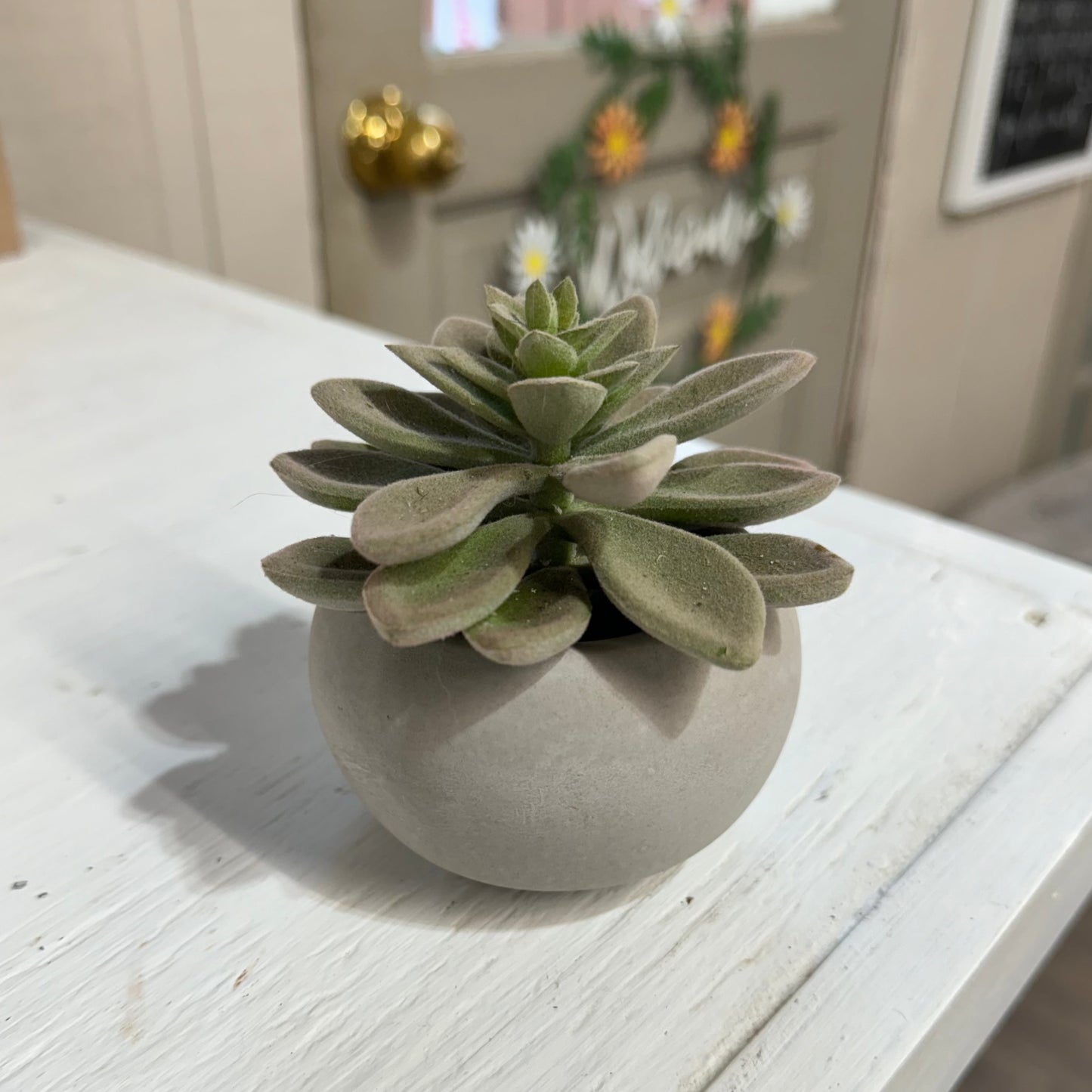 Fake Succulent in Small Gray Planter