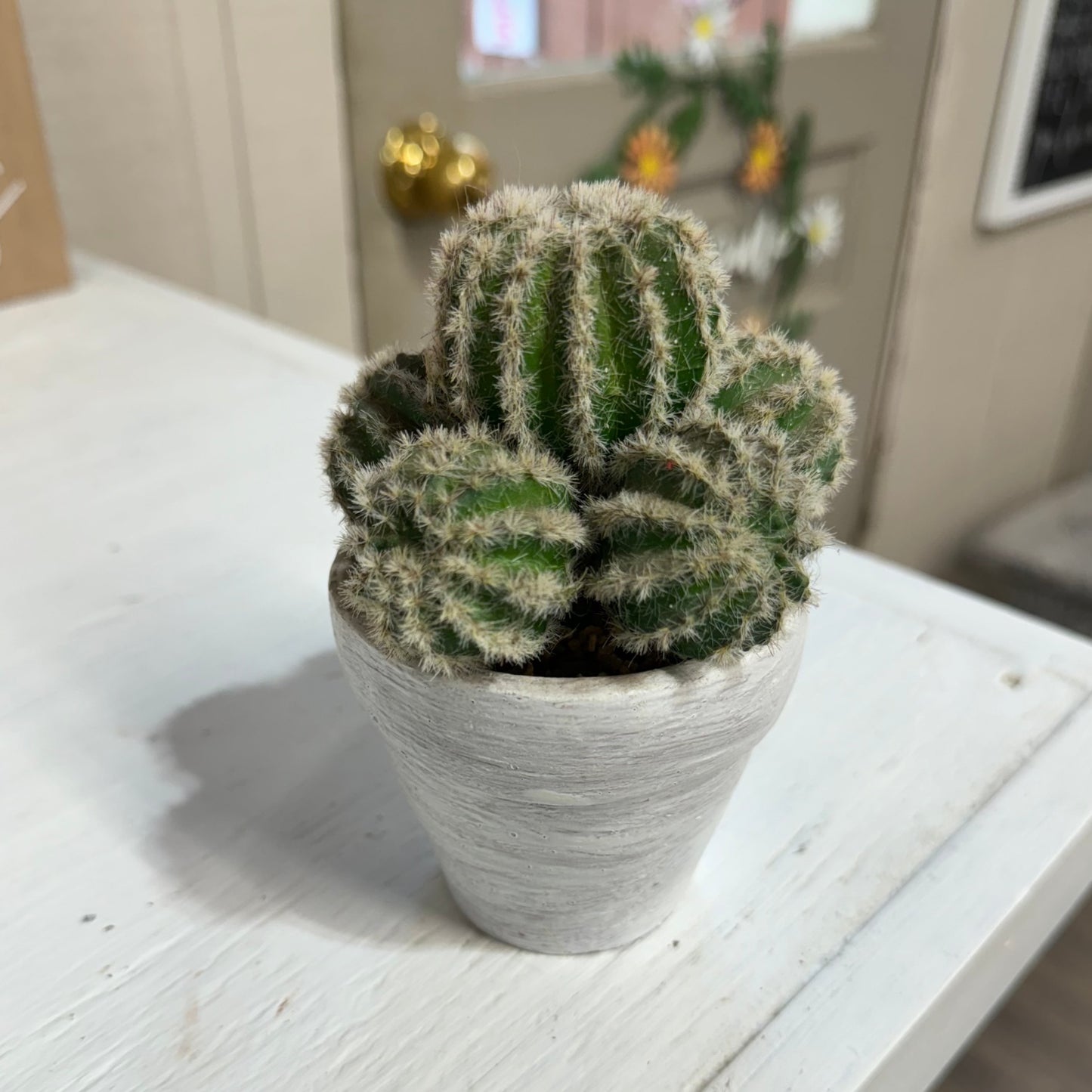 Artificial Cactus in White Pot