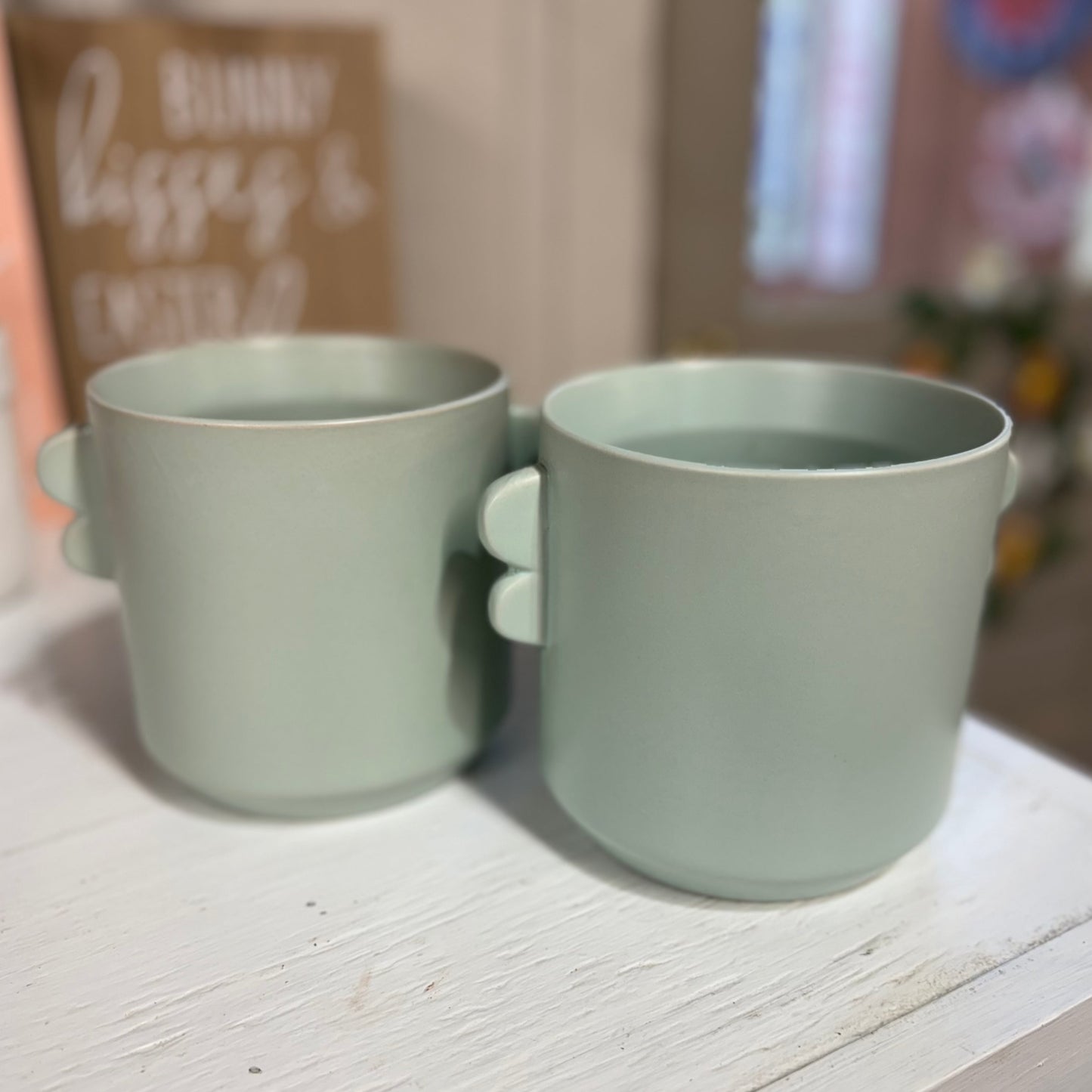 Robin's Egg Blue Indoor Planter