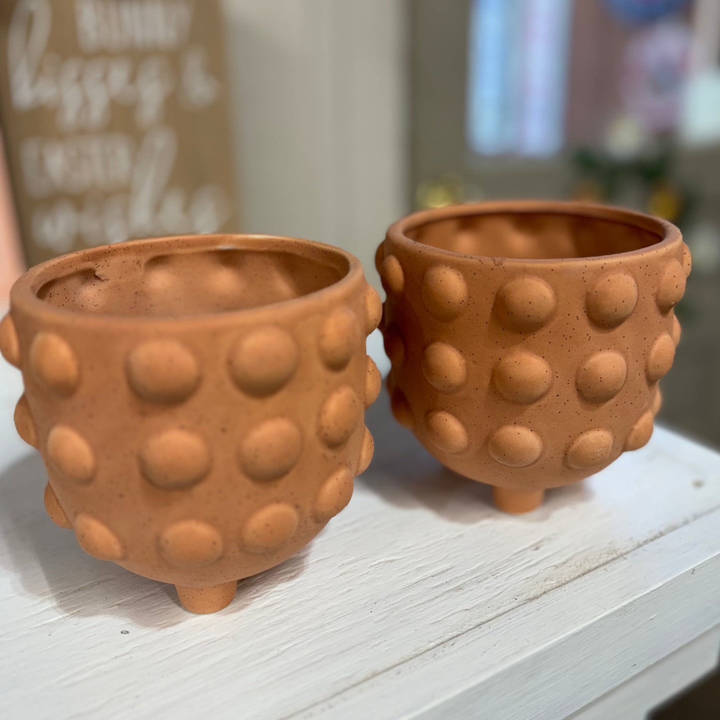 Raised Dot Terracotta Planter