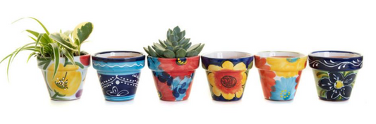 Sunshine Ceramica Indoor Mini Pot Assortment 4.5"