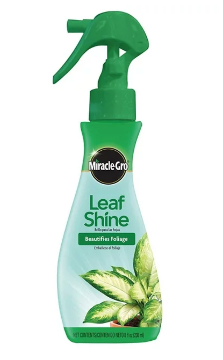 Miracle-Gro Leaf Shine 8oz.