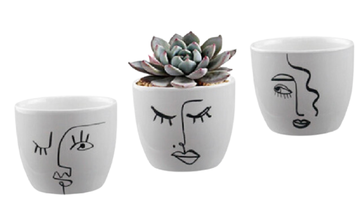Expression Pot