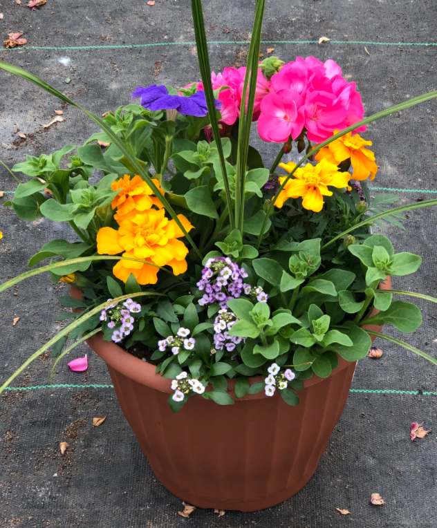 10" Patio Planter