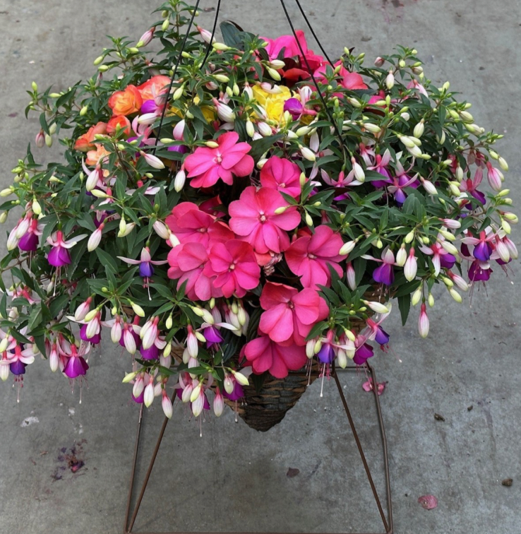 12" Hanging Basket Square Cone