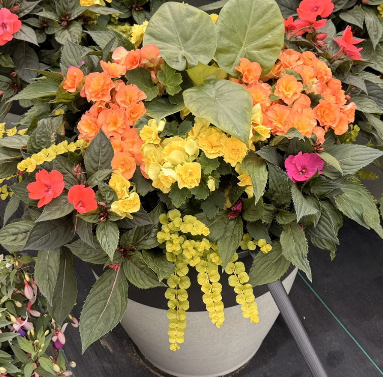 18" Luxe Patio Planter