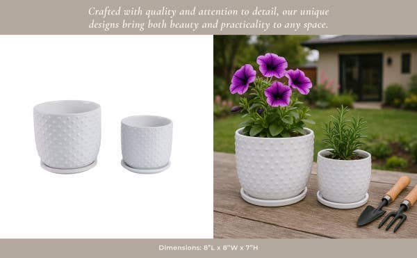 White 6/8 in. Ceramic Tiny Dots Saucer Planters