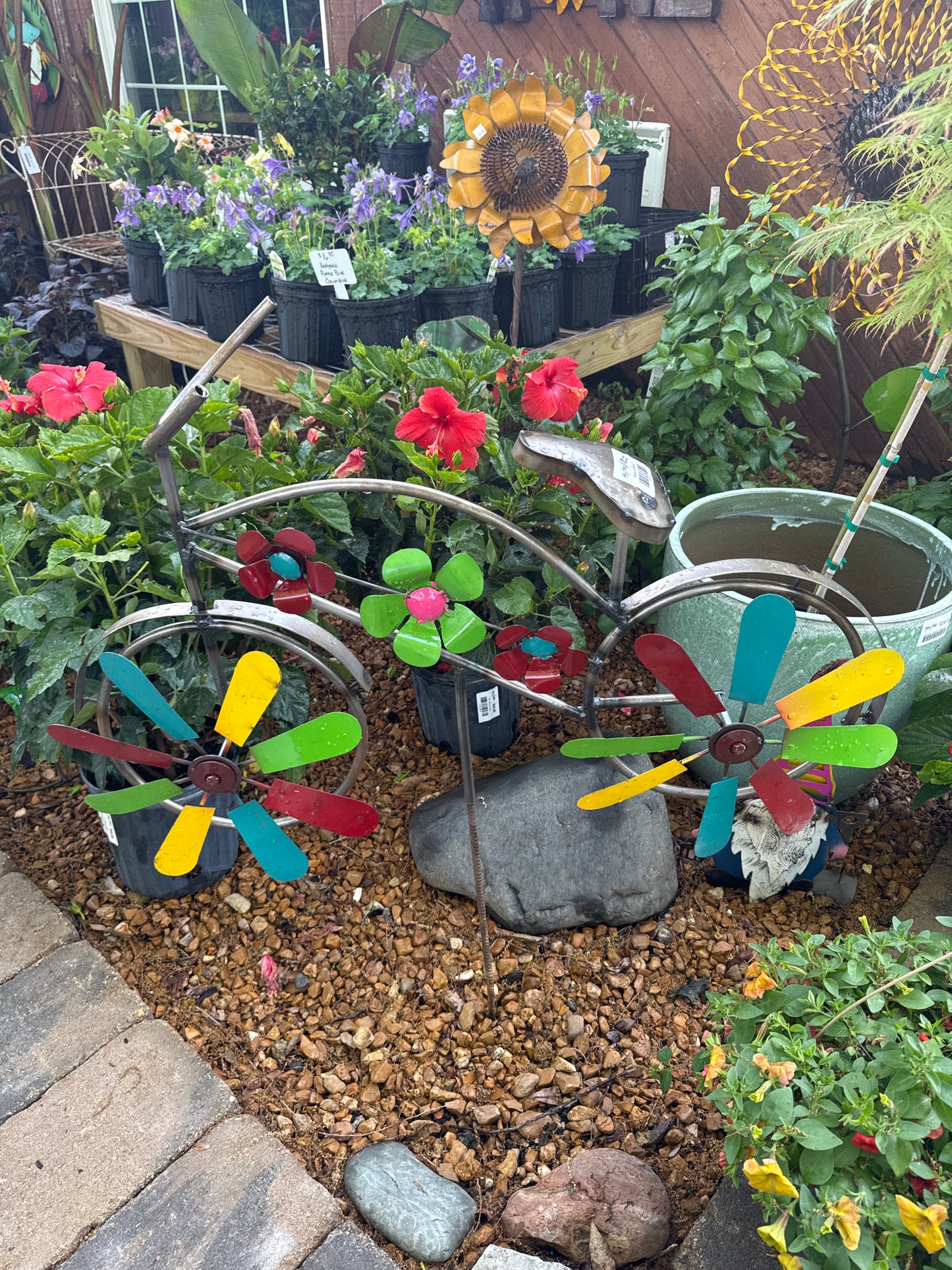 Bicycle w/ Spinner