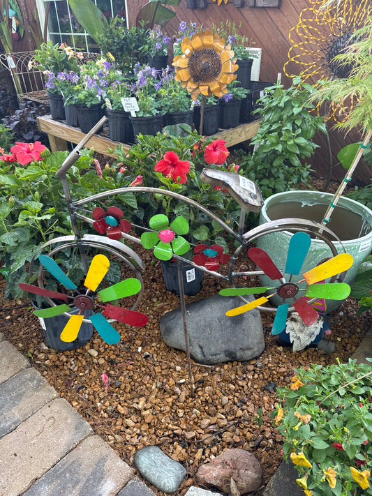 Bicycle w/ Spinner