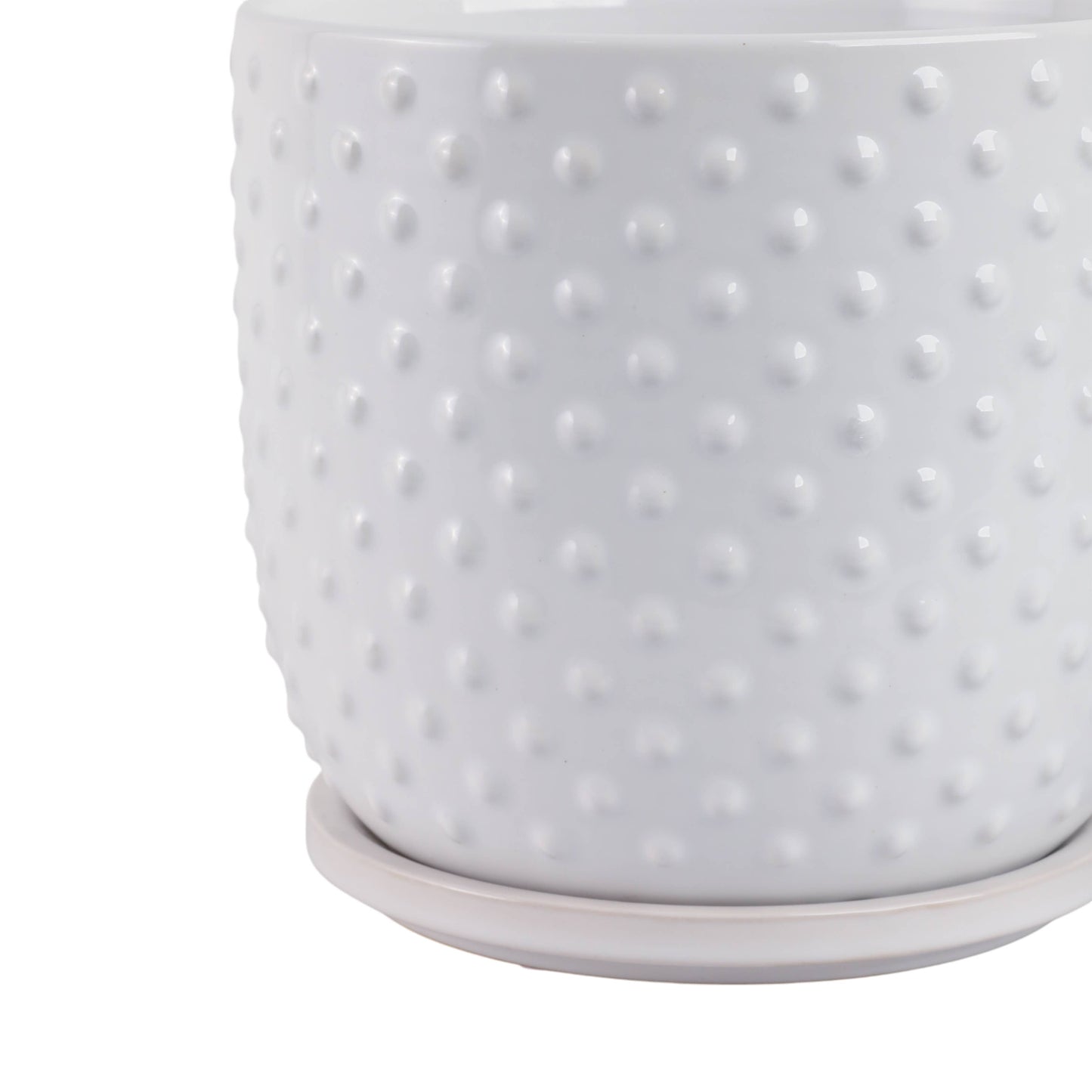 White 6/8 in. Ceramic Tiny Dots Saucer Planters