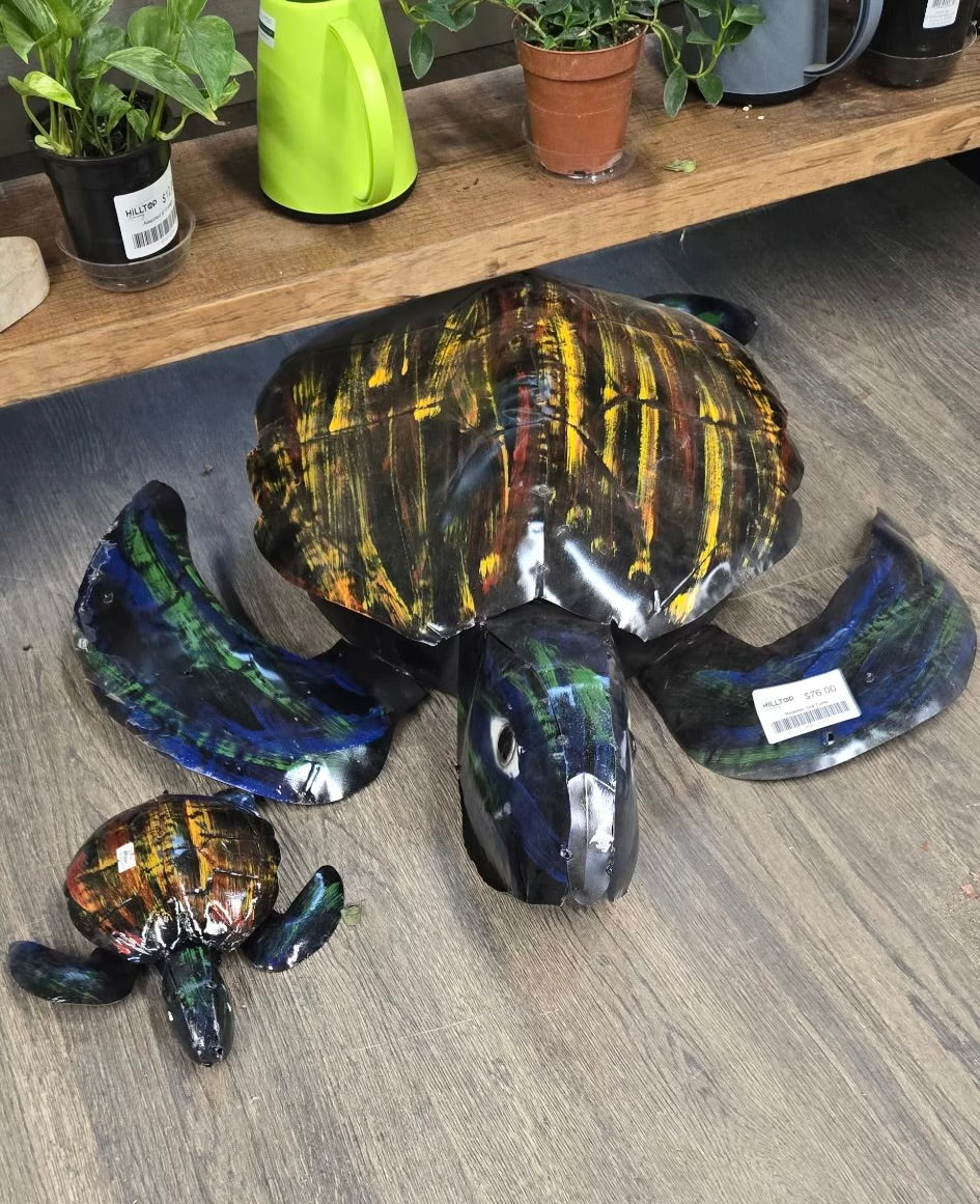 Realistic Color Sea Turtle
