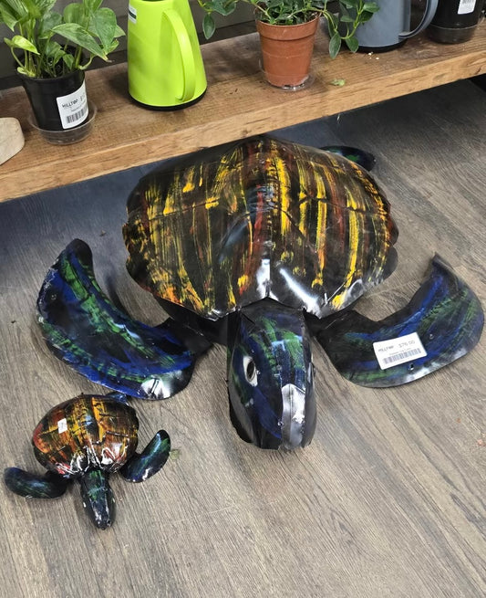Realistic Color Sea Turtle