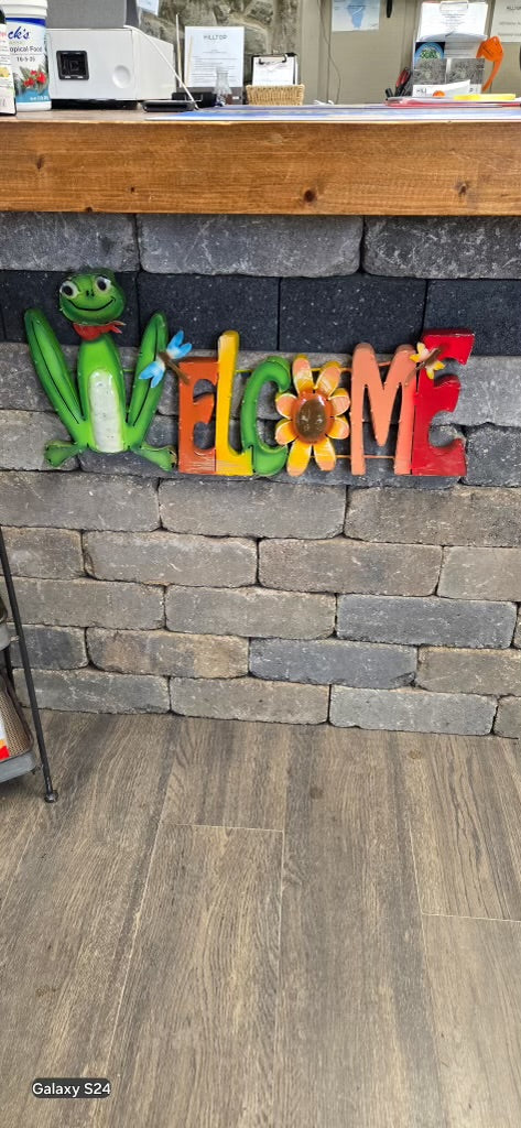 Welcome Frog