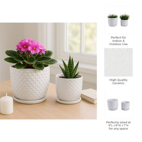White 6/8 in. Ceramic Tiny Dots Saucer Planters