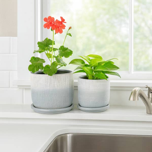 Silver Ceramic Textured Saucer Planters, 5/6 in.