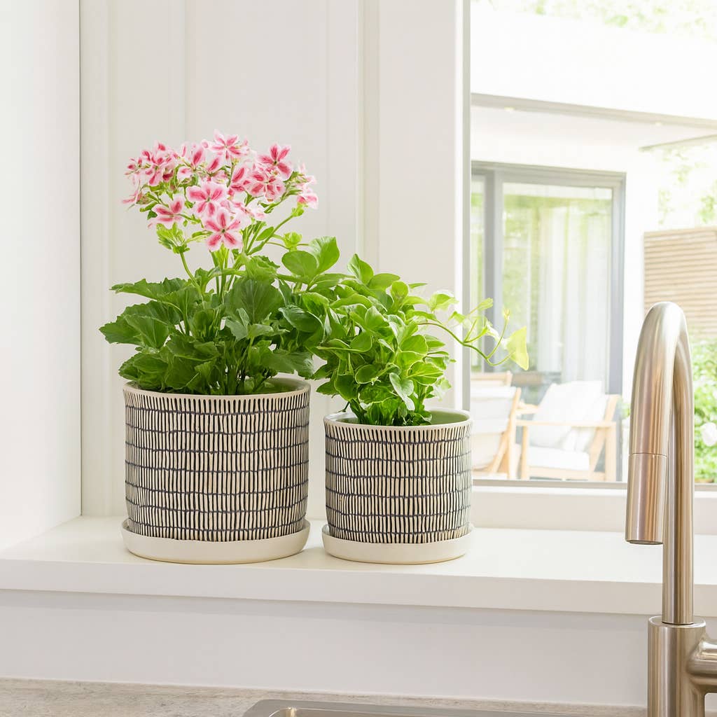 Planters Set of 2 - Ivory Ceramic Line with Saucer, 6/8 in.