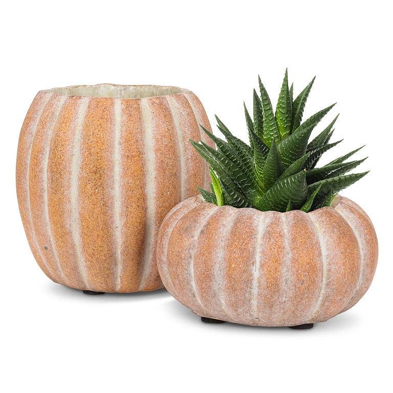 Mini Tall Pumpkin Planter-3.5"W