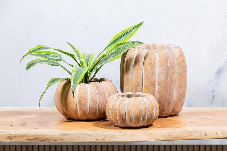 Cement Pumpkin Planter