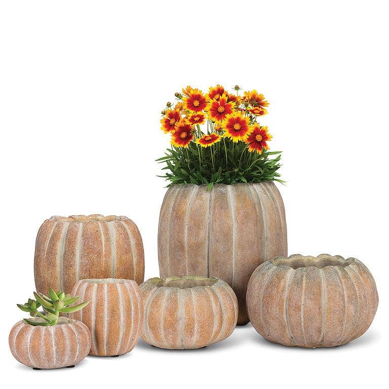 Medium Tall Pumpkin Planter