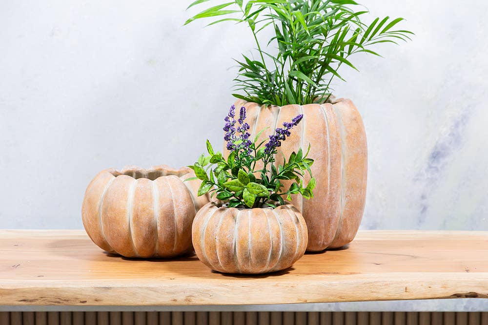 Cement Pumpkin Planter