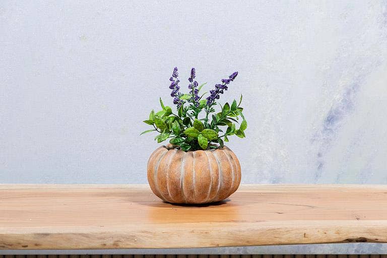 Cement Pumpkin Planter