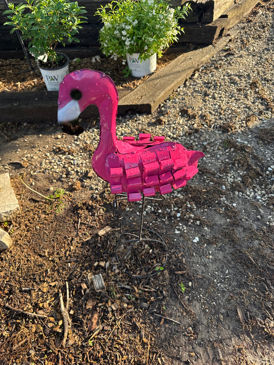 Curly Flamingo