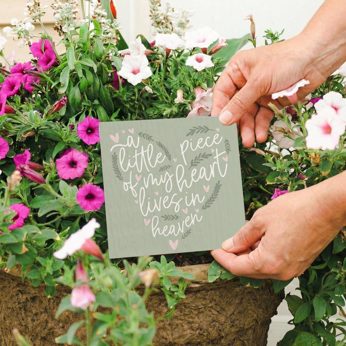 Little Piece Heart Green - Plant Thoughts
