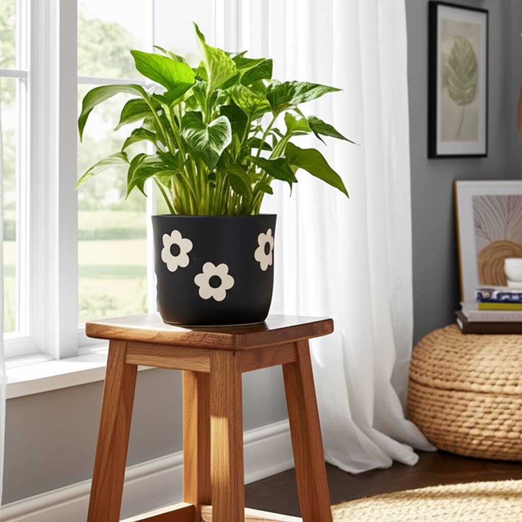 6 in. Black/White Flower Power Planter