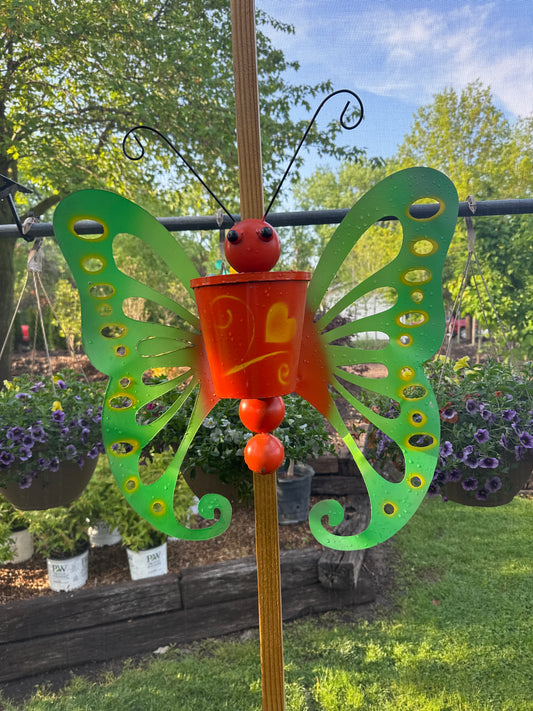 Bucket Butterfly