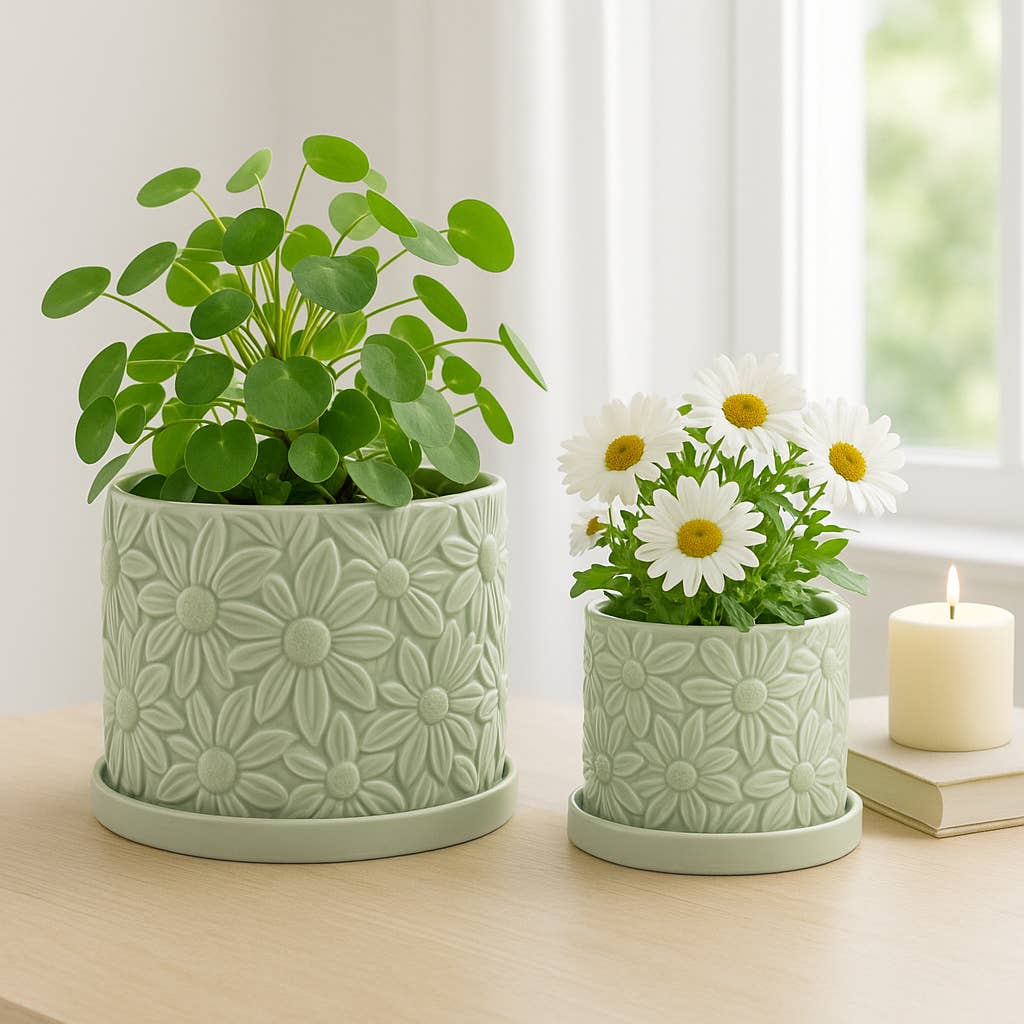 Green 6/8 in. Ceramic Daisy Flower Planter