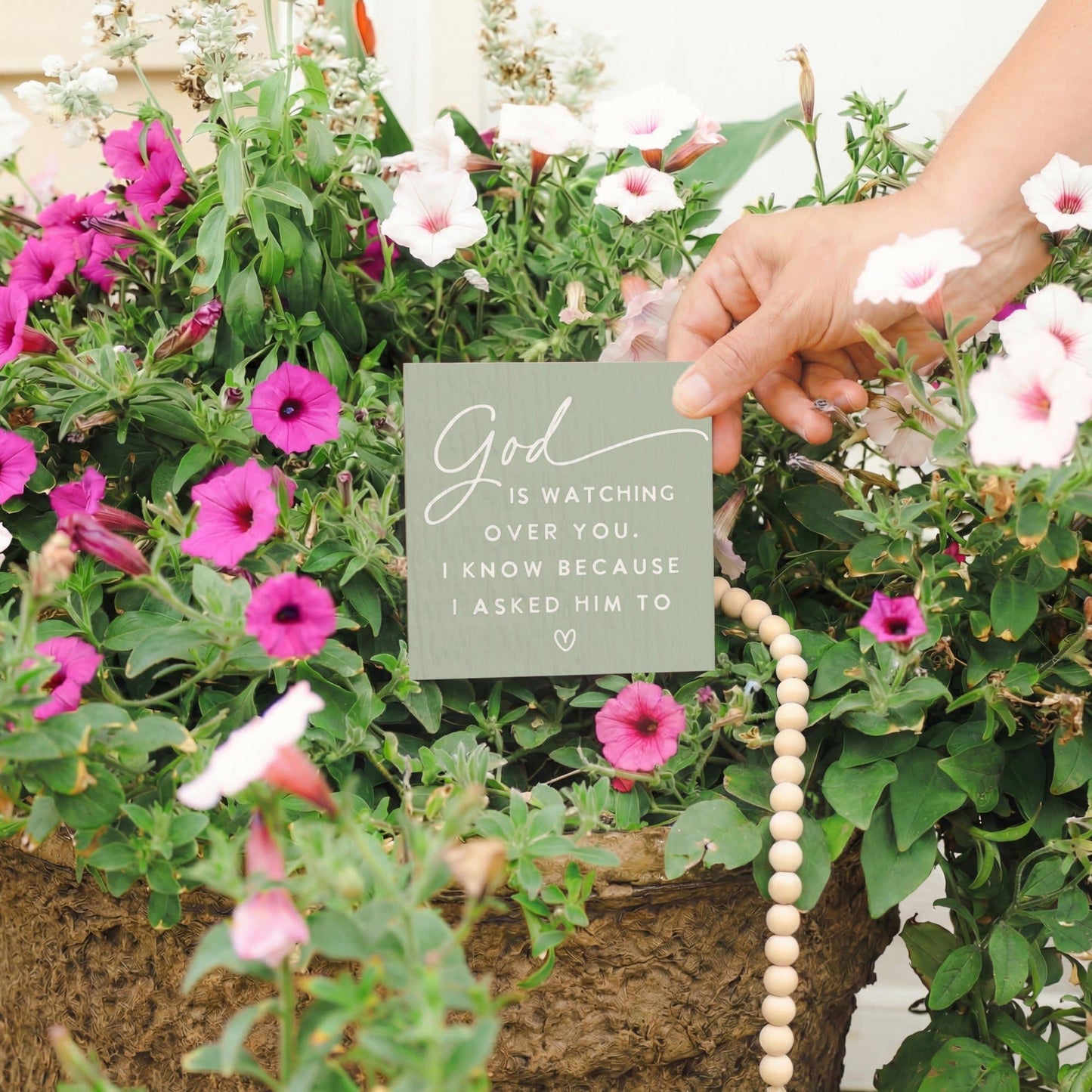 God Is Watching - Plant Thoughts